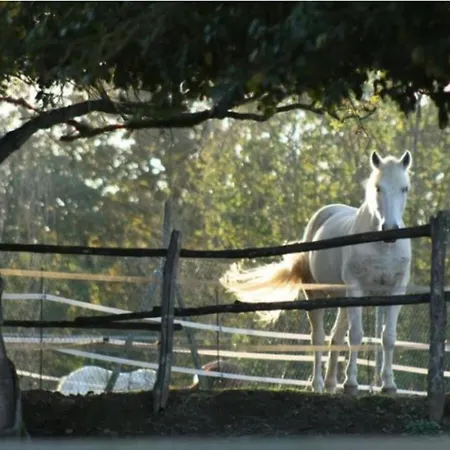 Poggiolo Farm stay
