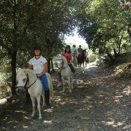 Poggiolo Pilonico Materno